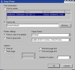 printer setup dialogue